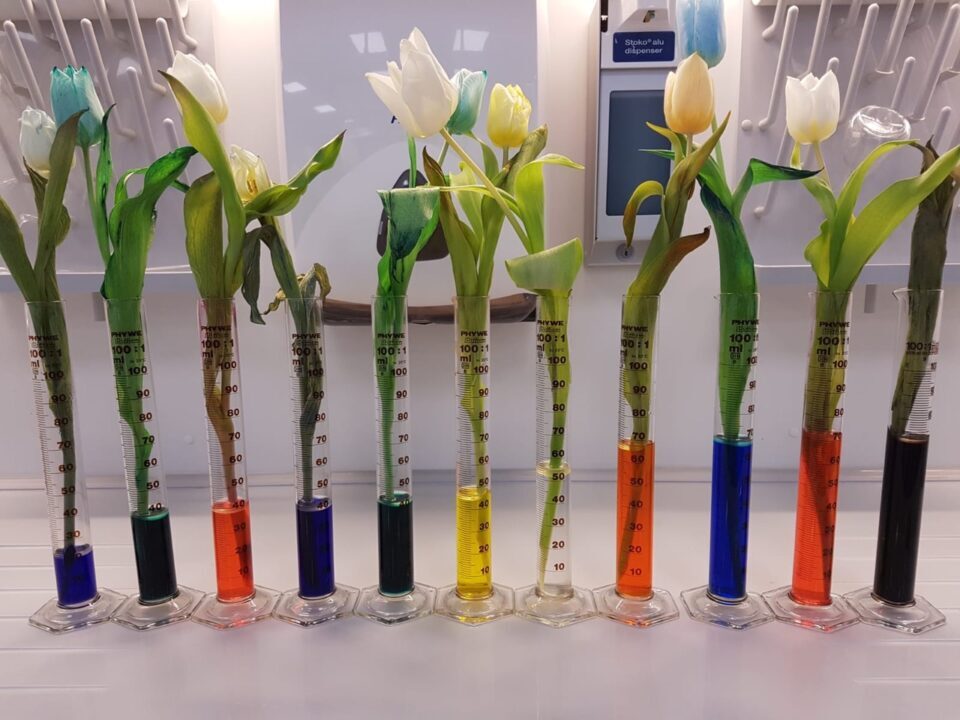 „Viele Menschen, viele Wege, ein Ziel:“