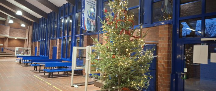 Wir wünsche allen schöne Weihnachtsferien! Wir wünsche allen schöne Weihnachtsferien!